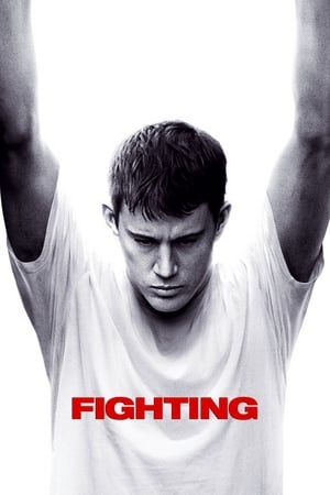 Fighting (2009) Dual Audio | Dubbed Hindi Movie BluRay 450MB