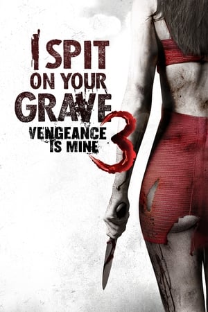 I Spit on Your Grave: Vengeance Is Mine (2015) Dual Audio HDRip | Dubbed Hindi Movie – 480p