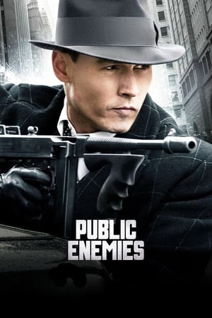 Public Enemies (2009) Dual Audio | Dubbed Hindi Movie BluRay 400MB